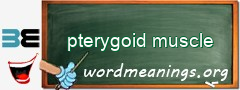 WordMeaning blackboard for pterygoid muscle
